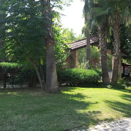 Lemas