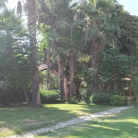 Lemas Side